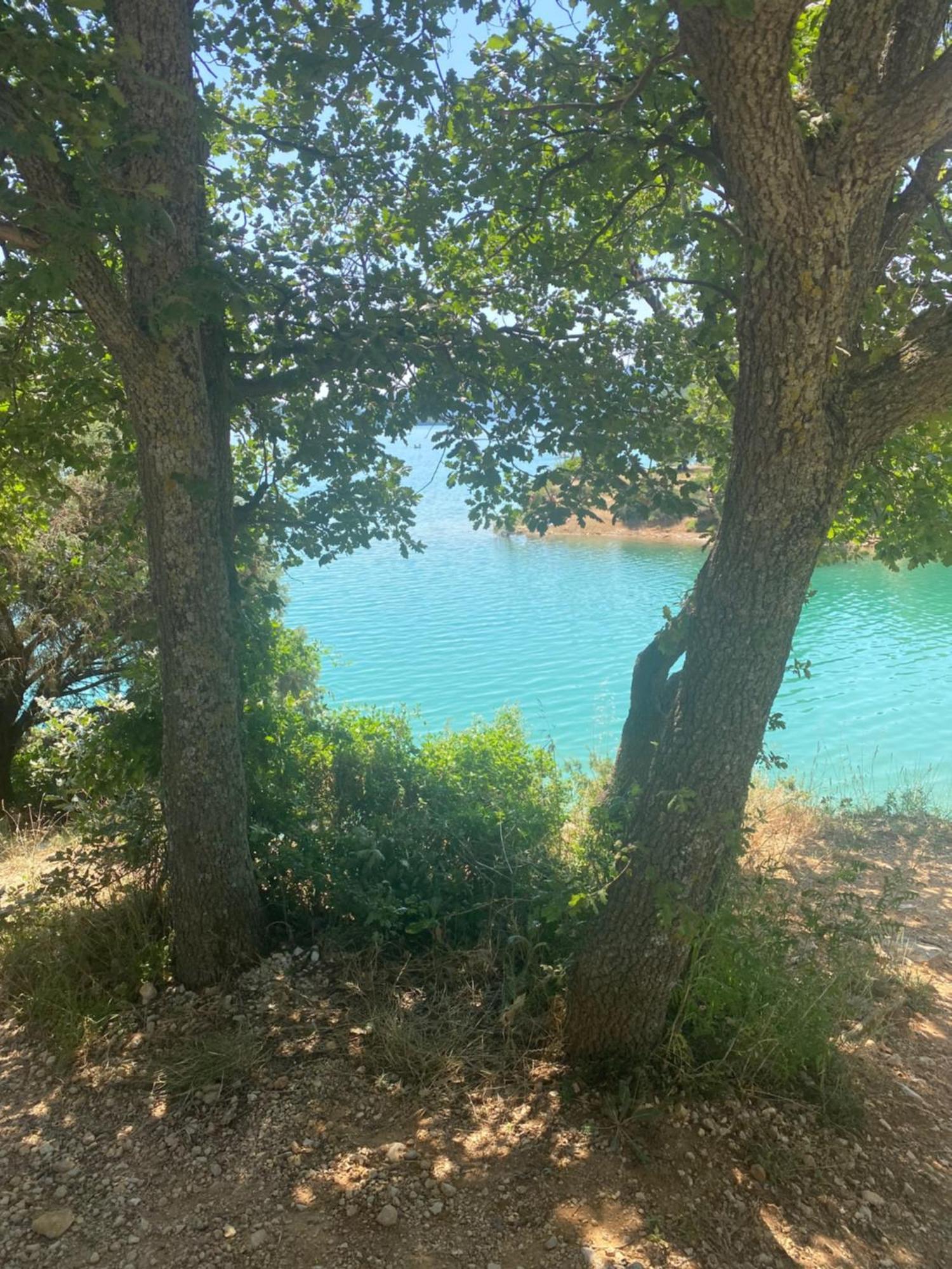 Appartement Studio Neuf Bas De Villa Gorges Du Verdon A Riez Exterior foto